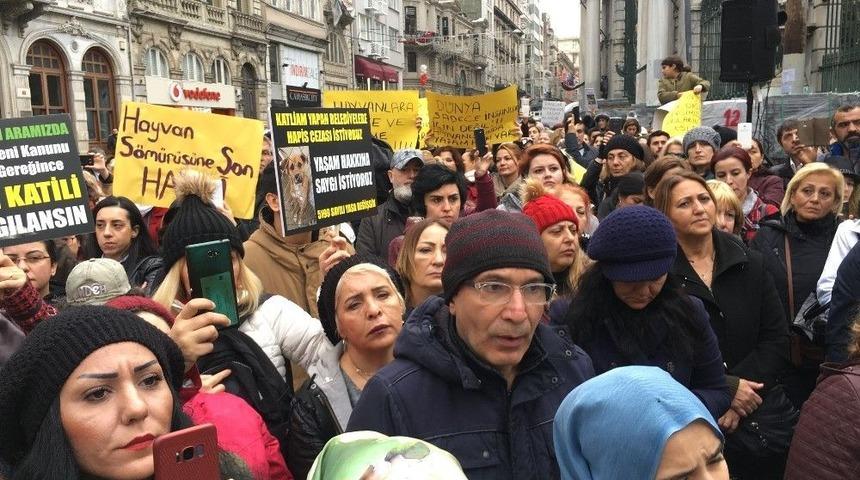 Hayvan Hakları Savunucularından Sokak Hayvanları İ&ccedil;in Eylem
