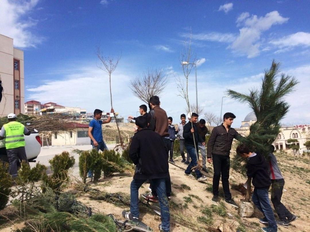 Edremit&rsquo;e 45 Bin Ağa&ccedil; Ve Fidan Dikilecek