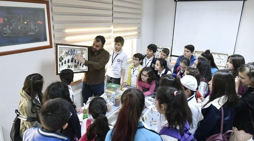 B&ouml;ceklerin D&uuml;nyasına Eğlenceli Yolculuk