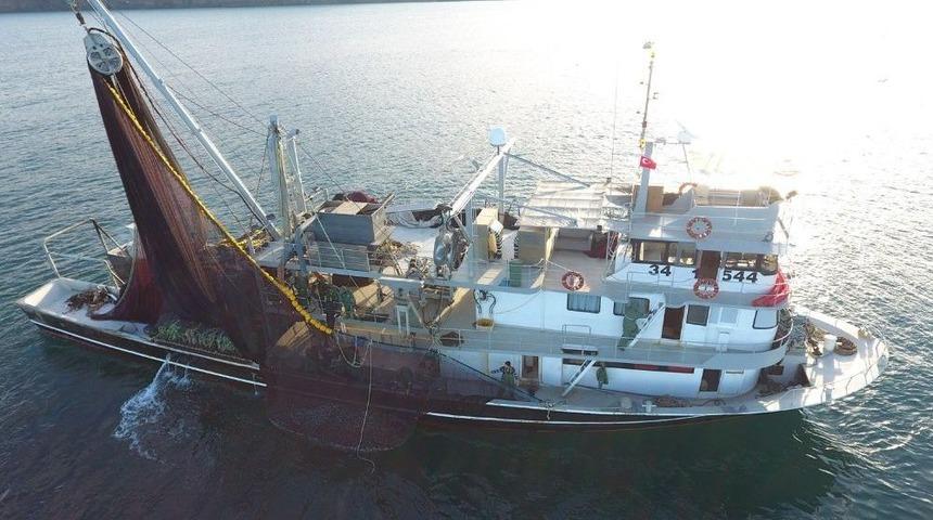 Hamsiye Niyet İstavrite Kısmet