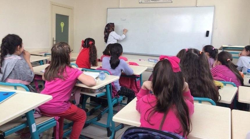 Huzur &Ccedil;ınarı Ve Gen&ccedil; Kaymek Elele