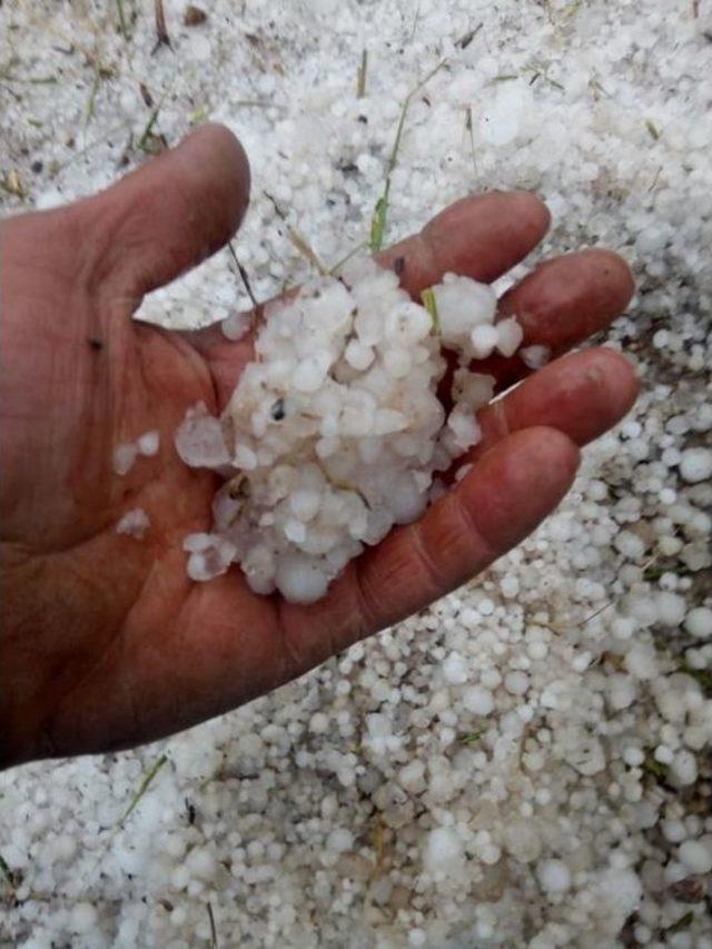 Dolu Yağışı Ekili Tarım Arazilerini Vurdu