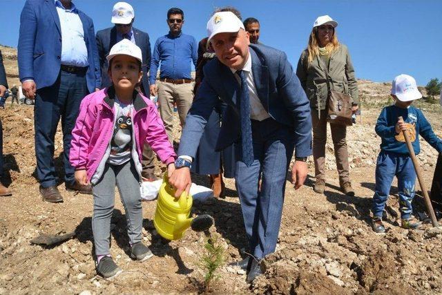 Sarayköy’de Her İlçe Sakini İçin Bir Fidan Dikilecek