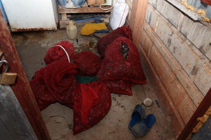 Antalya’da Zabıtadan Küflenmiş Midye Ve Pilav Operasyonu G2