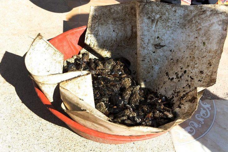 Antalya’da Zabıtadan Küflenmiş Midye Ve Pilav Operasyonu G3