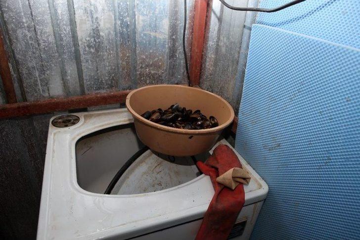 Antalya’da Zabıtadan Küflenmiş Midye Ve Pilav Operasyonu G4