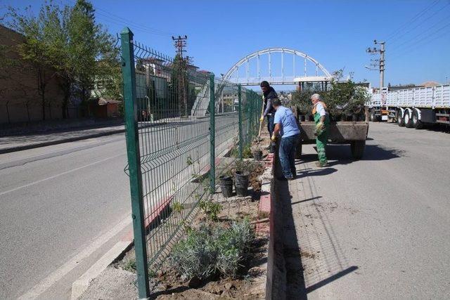 Siirt’te Cumhurbaşkanı Hazırlıkları