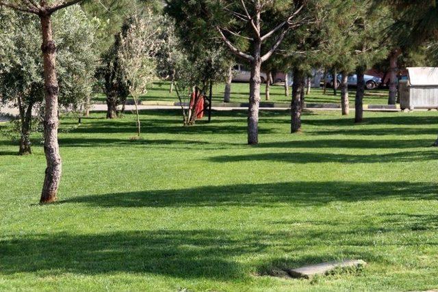 Bahar Çiçekleri Alaşehir’e Renk Kattı