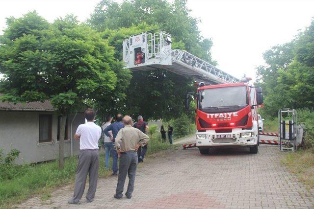 (özel) Evde Mahsur Kalan Kilolu Kadını İtfaiye Kurtardı