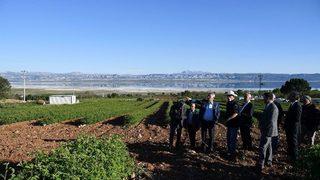 Gül Festivaline Doğru