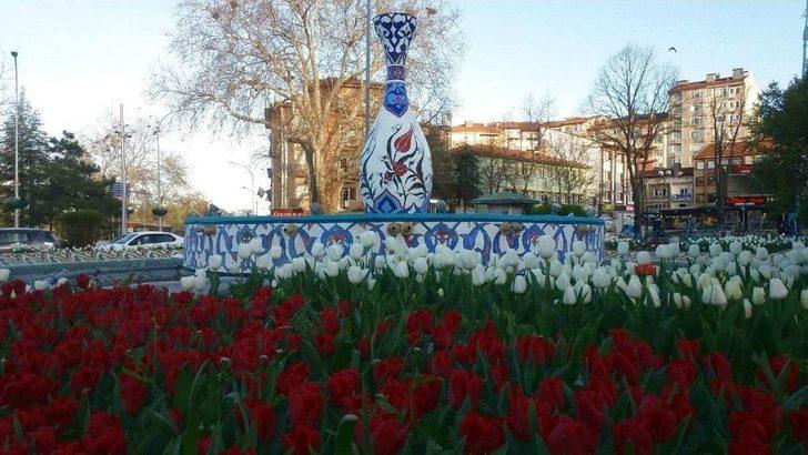 Kütahya Çiçek Açtı G1