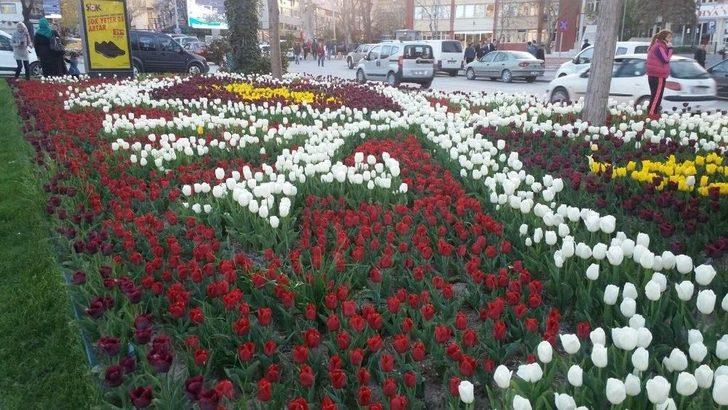 Kütahya Çiçek Açtı G4