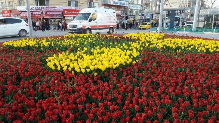 Kütahya Çiçek Açtı G5