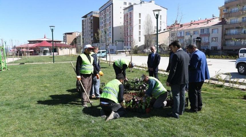 Lale Vadisi Parkı&rsquo;nda Lale Soğanı Ekimi Yapıldı