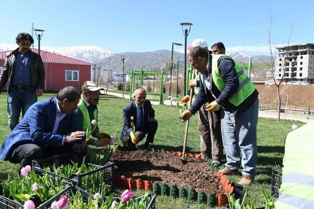 Lale Vadisi Parkı’nda Lale Soğanı Ekimi Yapıldı