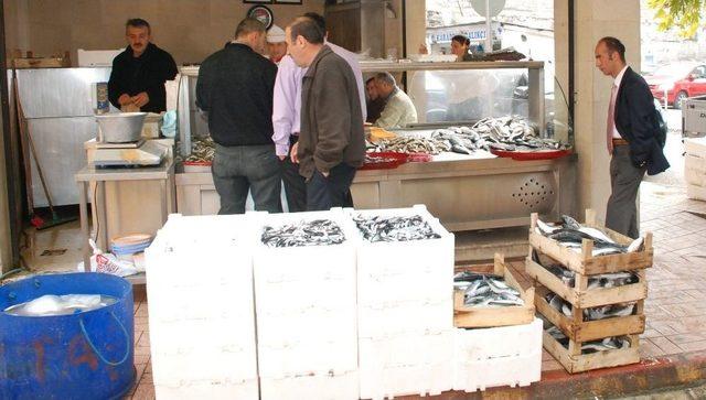 Türkiye’de Balık Tüketimi 7,6 Kg