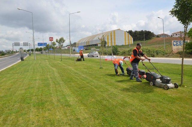 Bilecik’te 51 Bin Çiçek Toprakla Buluştu