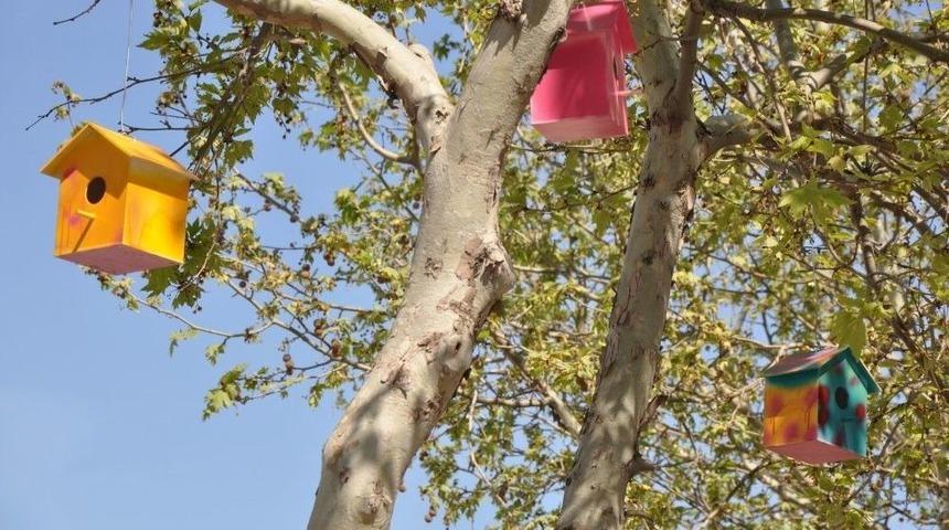 Somalı &Ouml;ğrencilerden &rsquo;kuş Evi&rsquo; Projesi