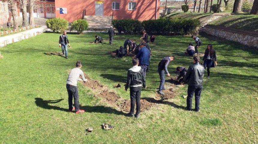 &Ccedil;ayıralan&rsquo;da 4 Bin Adet G&uuml;l Fidanı Toprakla Buluştu