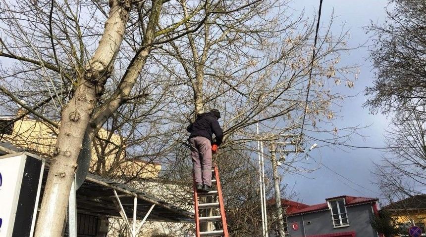 Dilovası’nda Bahar Bakımı