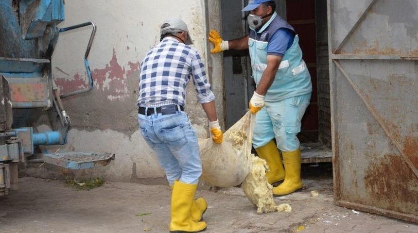 Sağlıksız 10 Ton Peynir İmha Edildi