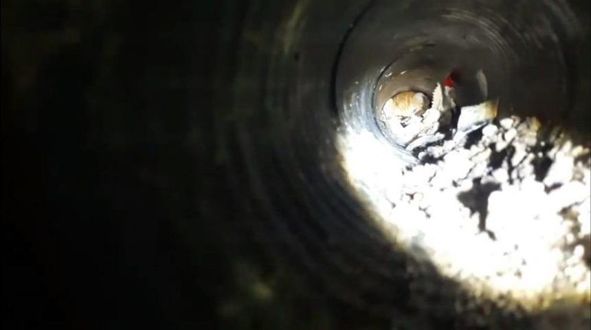 Yalova&rsquo;da Kedi Kurtarma Operasyonu