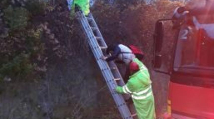 Ormanlık Alanda Mahsur Kalan Öğrencileri İtfaiye Kurtardı