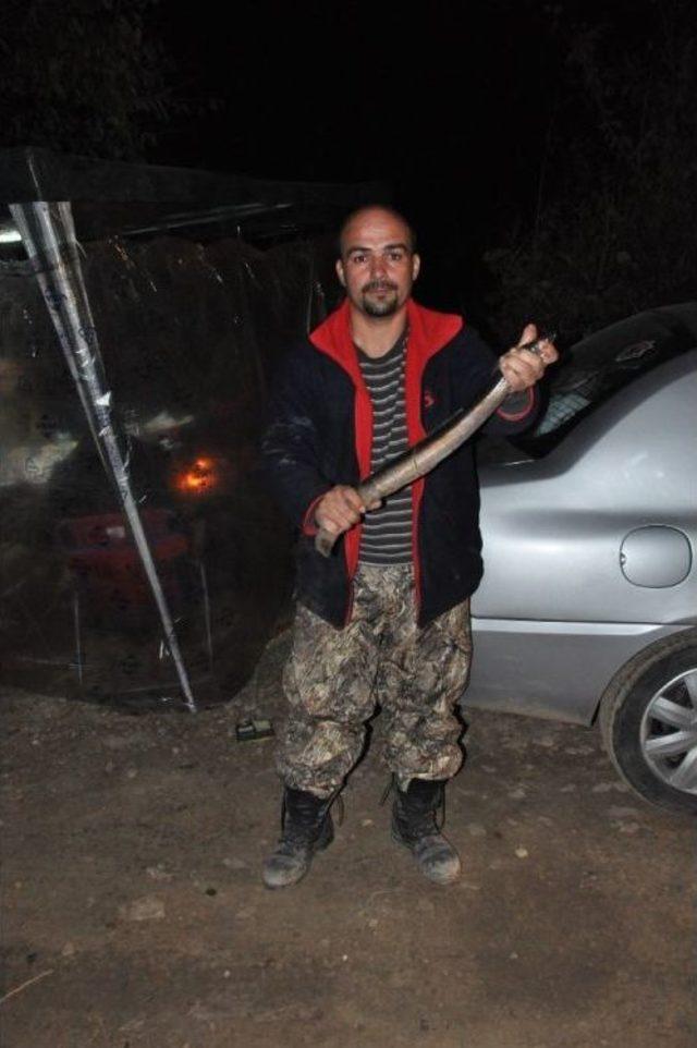 Tarsus&rsquo;ta Yılan Balığı Yakalama Yarışması 1