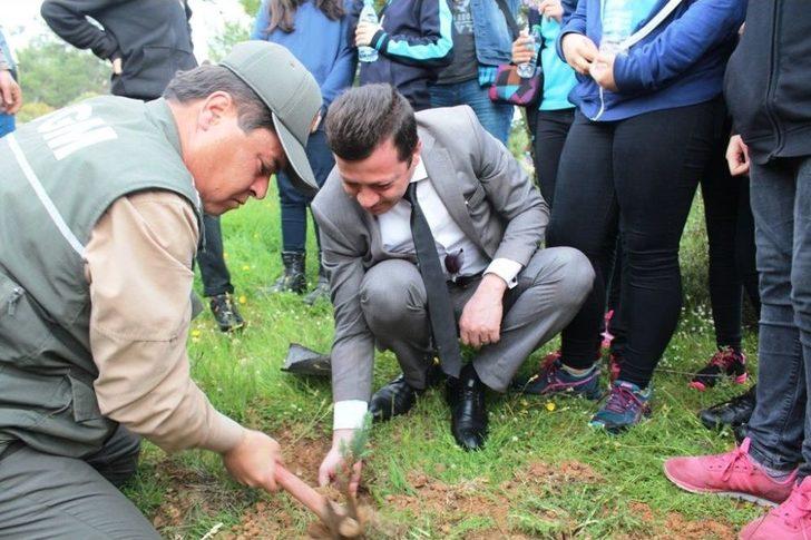 3 Yıl Önce Yanan Ormanlık Alana Öğrencilerden 120 Fidan G1