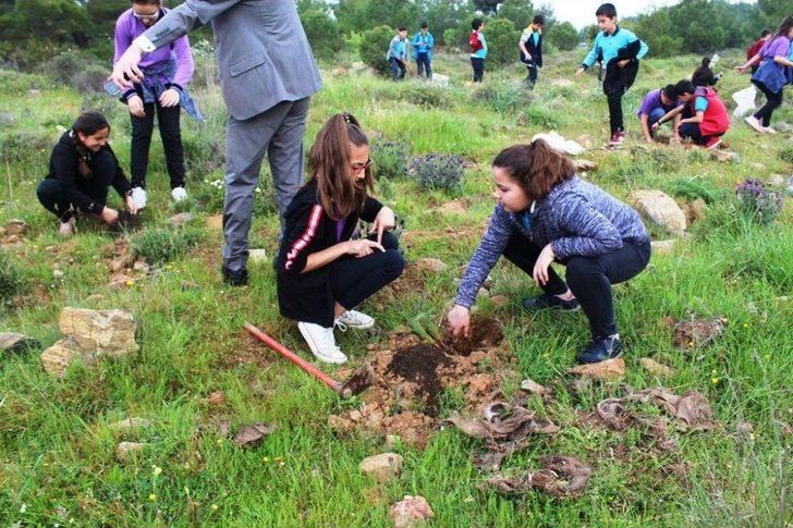 3 Yıl Önce Yanan Ormanlık Alana Öğrencilerden 120 Fidan G5