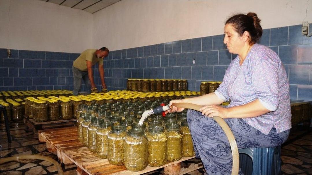 Sarıg&ouml;l&rsquo;de Toplanan Yapraklar Sofralara Hazır