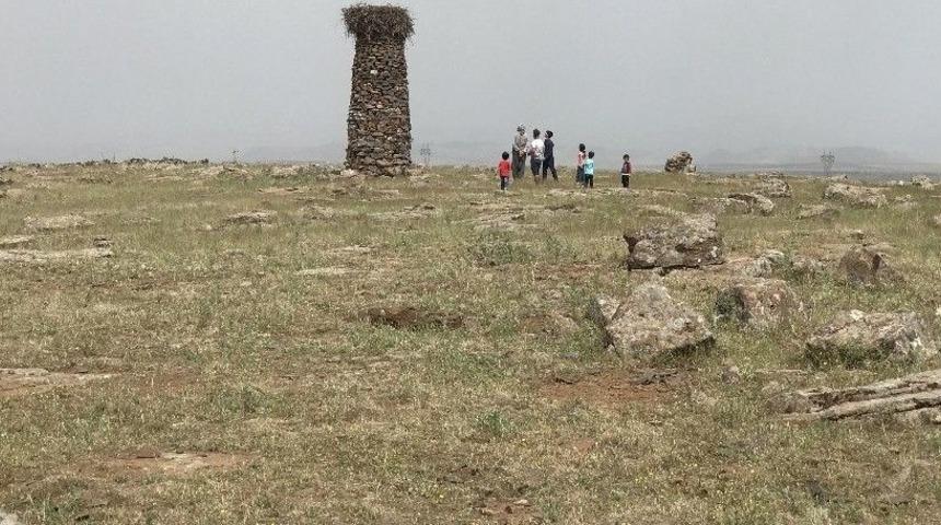 K&ouml;yl&uuml;leri Zehirli Yılanlardan Leylekler Koruyor