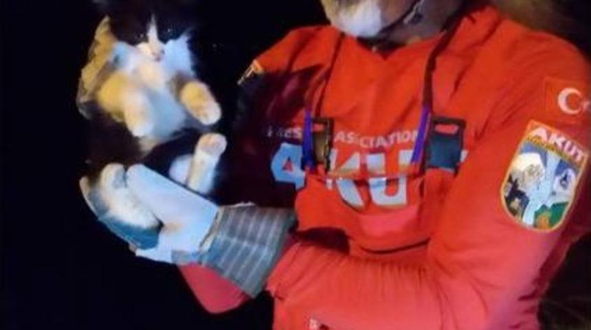 Kuşadası&rsquo;nda Kedi Kurtarma Operasyonu