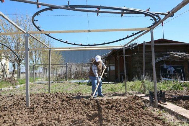 Hobi Bahçelerinde Sağlıklı Yaşamın Tadını Çıkarıyorlar 1