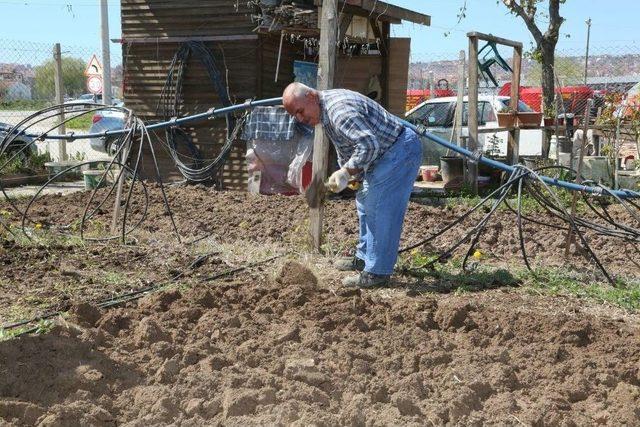 Hobi Bahçelerinde Sağlıklı Yaşamın Tadını Çıkarıyorlar 2