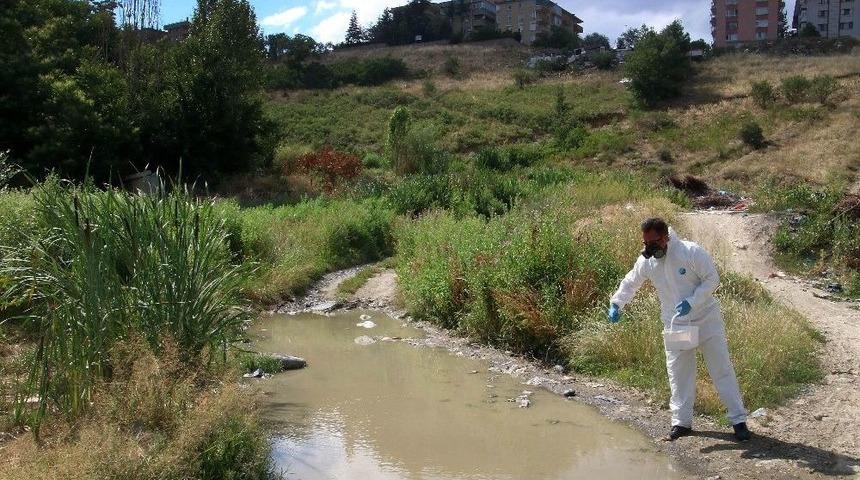 &Ccedil;ankaya&rsquo;da Kış İla&ccedil;laması Yapılıyor