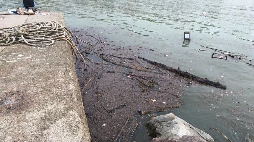 Yağmurla Birlikte Balıkçı Barınağında Kirlilik Oluştu