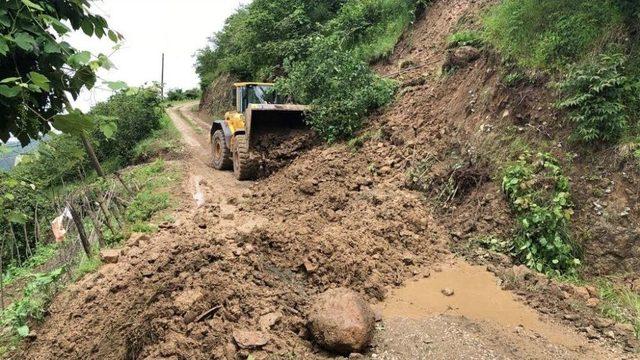 Ordu’da Selin Yaraları Sarılıyor