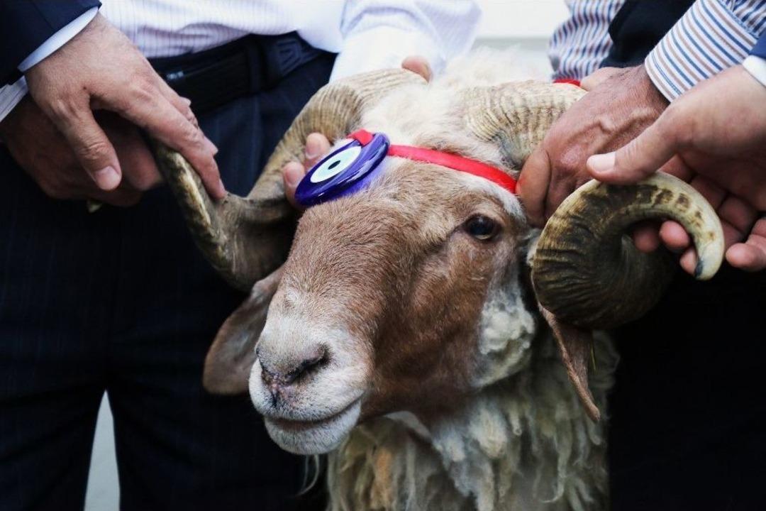 Afrin&rsquo;deki Mehmet&ccedil;ik&rsquo;e 150 Kurban