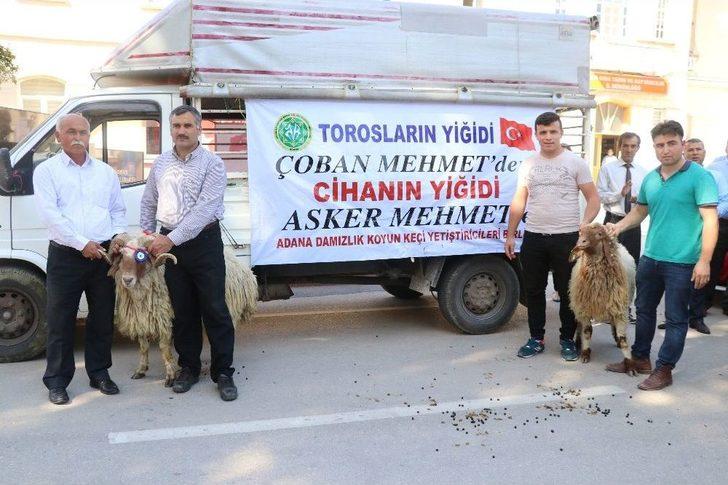 Afrin’deki Mehmetçik’e 150 Kurban G3