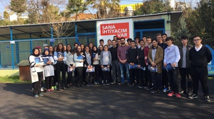 Gebze Veteriner İşlerinden 2017 Raporu