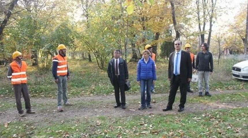 Katil Arılara Karşı 200 Bin Adet Terminat&ouml;r B&ouml;cek Ormanlara Bırakılacak