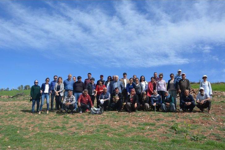 Küçükköy Lavanta Açacak G5