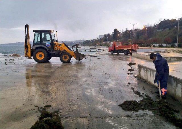 Büyükçekmece’de Lodosun İzleri Silindi