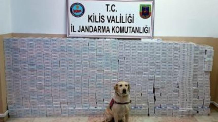 Kilis’te 8 Bin 450 Paket Kaçak Sigara Yakalandı