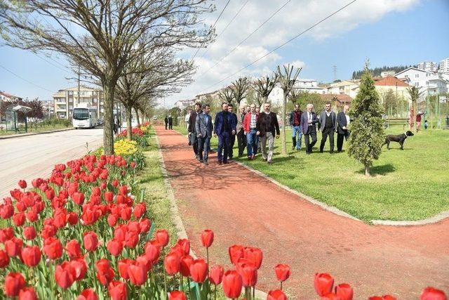 Başkan Doğan, Yeşilova’yı Gezdi