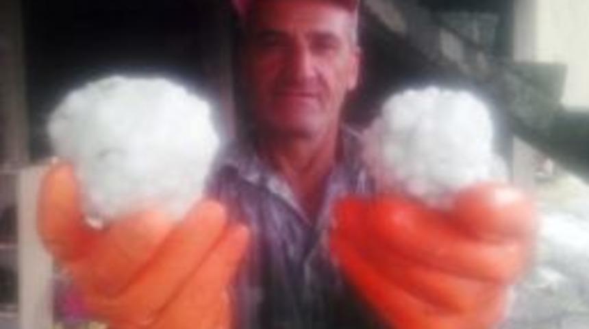 Fıstık Bahçelerini Ve Ekinleri Dolu Vurdu