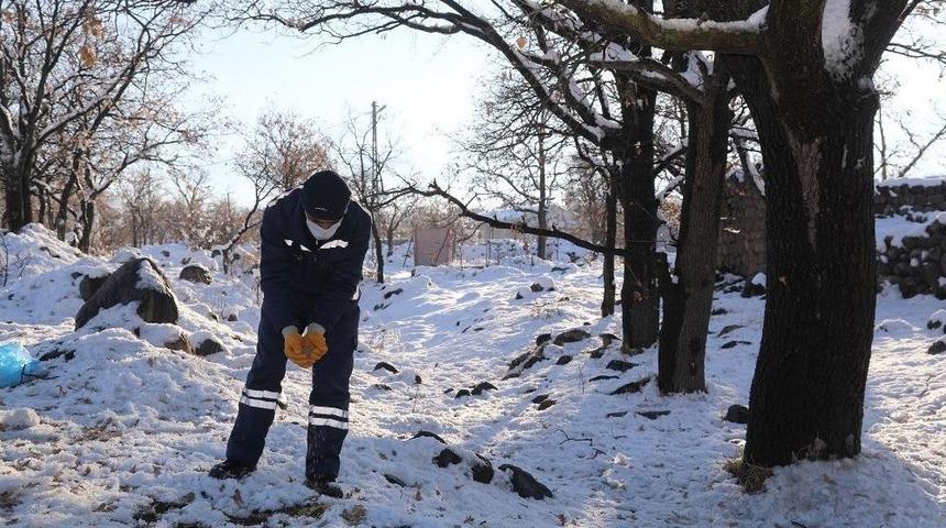 Talas Belediyesi Kış Soğuklarında Sokak Hayvanlarını Unutmadı