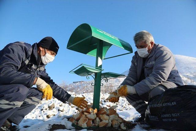 Talas Belediyesi Kış Soğuklarında Sokak Hayvanlarını Unutmadı