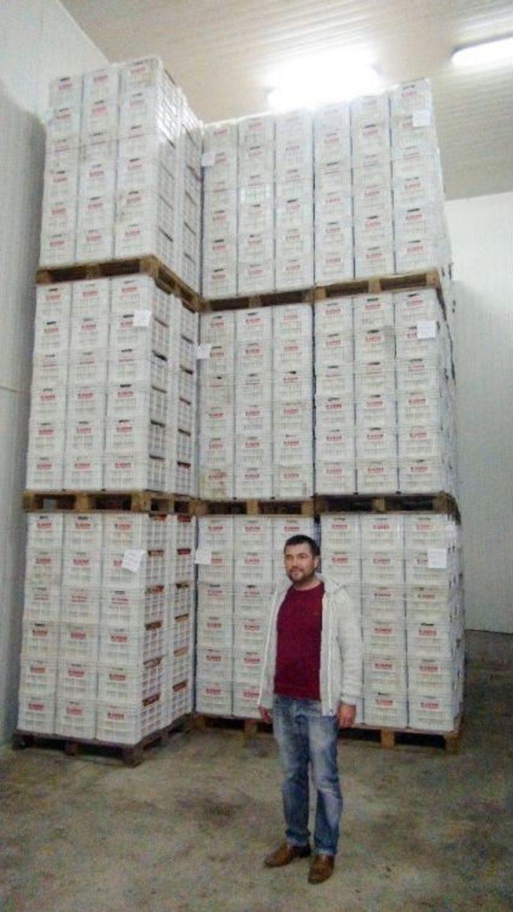 ’yatağa’ Alınan Limon Üreticisine Daha Fazla Kazandırıyor G5